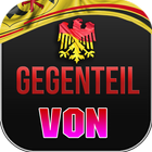 Was ist das Gegenteil von icon