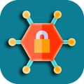 DEV VPN PRO