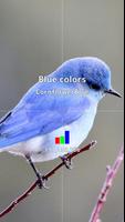 Color Judgment Camera Affiche