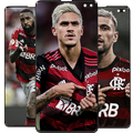 Flamengo Wallpapers