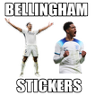 Bellingham Stickers ikon