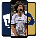 Pumas Wallpapers APK