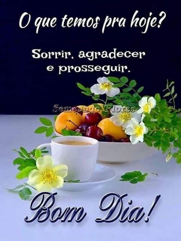 Bom dia, Boa tarde e boa noite Com Flores GIF APK per Android Download Bom dia, Boa tarde e boa noite Com Flores GIF APK per Android Download