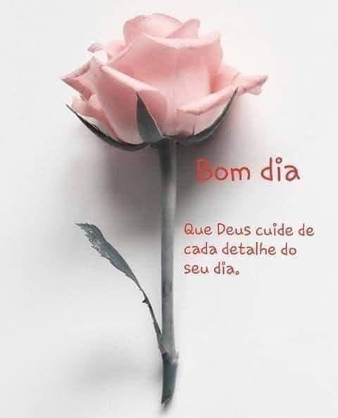 Imagens De Boa Tarde Gifs Lindas Com Frases E Flores 