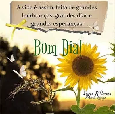 下载Bom dia, Boa tarde e boa noite Com Flores GIF的安卓版本