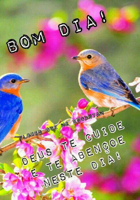 Tải xuống APK Bom dia, Boa tarde e boa noite Com Flores GIF cho Android Tải xuống APK Bom dia, Boa tarde e boa noite Com Flores GIF cho Android