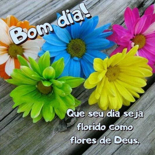 Tải xuống APK Bom dia, Boa tarde e boa noite Com Flores GIF cho Android Tải xuống APK Bom dia, Boa tarde e boa noite Com Flores GIF cho Android