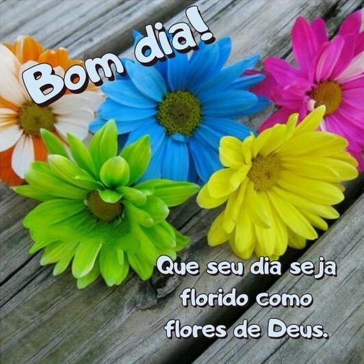 Tải xuống APK Bom dia, Boa tarde e boa noite Com Flores GIF cho Android