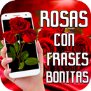 Rosas con Frases Bonitas APK