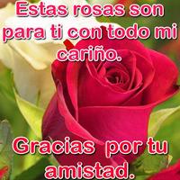 Rosas con Frases Bonitas penulis hantaran