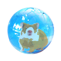 Hamster in ball
