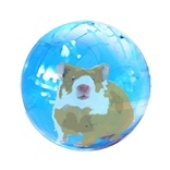 Hamster in ball