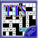 Teka Teki Silang, TTS Pro 2019 biểu tượng