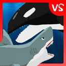 APK Shark Fights Killer Whale