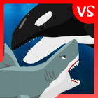 Shark Fights Killer Whale icône