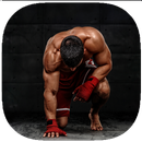 MMA培訓指南 APK