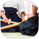 Aikido培訓指南 APK