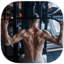 Back Exercises Training Guide APK