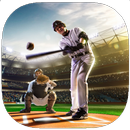 APK Baseball Training Guide