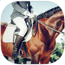 APK Guida di allenamento per caval