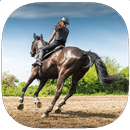 Horseback Riding Techniques Gu APK