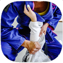 Guia de treinamento de judô APK