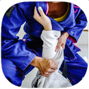 Judo Training Guide APK