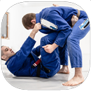Jiu Jitsu Training Guide APK
