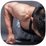 Pushups Exercises Guide