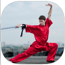 APK Shaolin Kung Fu Training Guide