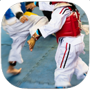 Guia de movimentos de Taekwond APK