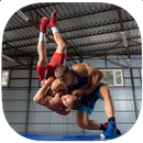 APK Wrestling Training Guide