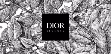 DIOR SEONGSU