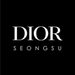DIOR SEONGSU icon