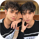 Dobre Brothers APK