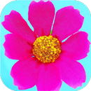 Pipe Cleaner Crafts APK