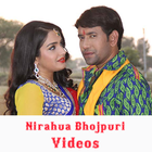 Dinesh Lal Yadav Songs - Nirahua Bhojpuri Videos icon