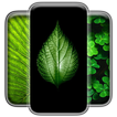 Leaf Wallpaper icon