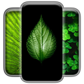Leaf Wallpaper