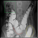 Aparato digestivo en preguntas APK