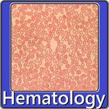 Hematology icône