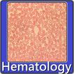 Hematology exam questions