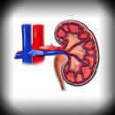 Nefrología en preguntas cortas APK