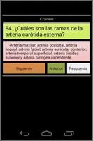 NeuroAnatomía Plakat