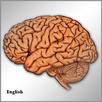 Neurology short questions APK