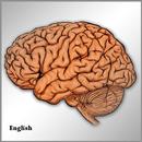 Neurology short questions APK