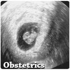 Obstetrics ไอคอน