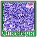 Oncología preguntas de examen APK