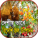 বিদেশি ফল বাংলাদেশে চাষের পদ্ধ APK