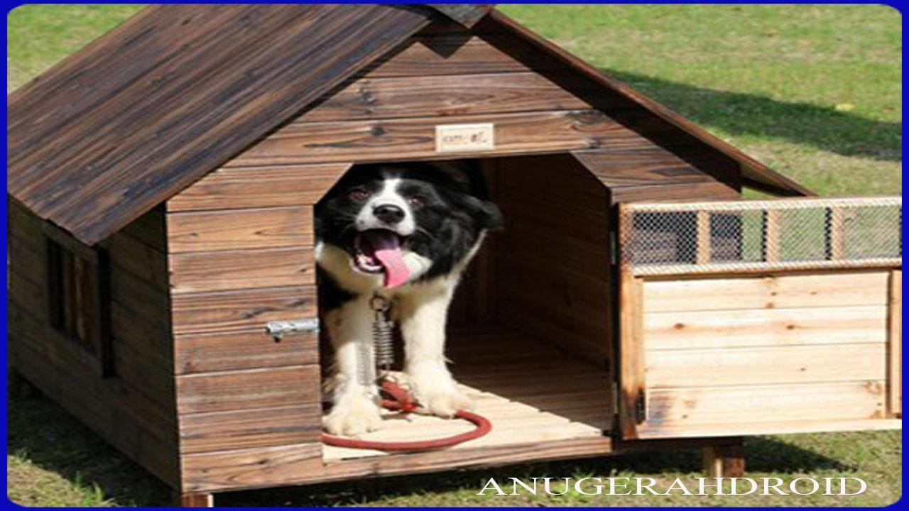 Догхаус dog house демо